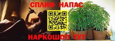 сатива Наро-Фоминск